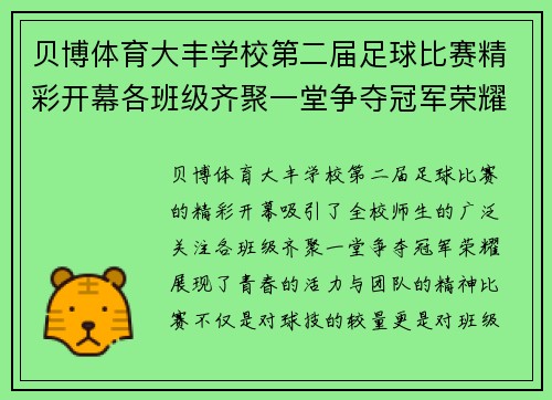 贝博体育大丰学校第二届足球比赛精彩开幕各班级齐聚一堂争夺冠军荣耀