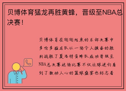 贝博体育猛龙再胜黄蜂，晋级至NBA总决赛！